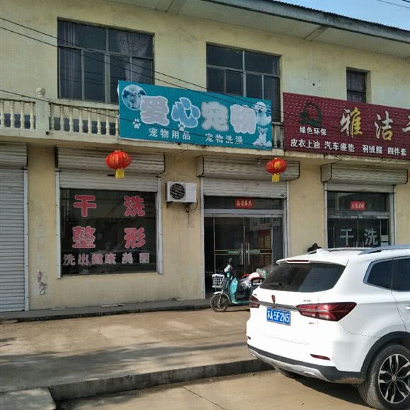 爱心宠物:连云港市赣榆区
