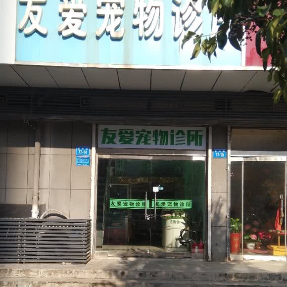 友爱宠物狗诊所:连云港市赣榆区