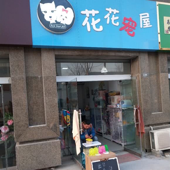 花花宠屋:连云港市东海县