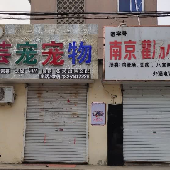 芸宠宠物:连云港市东海县