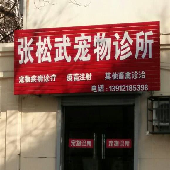 张松武宠物诊所:连云港市东海县