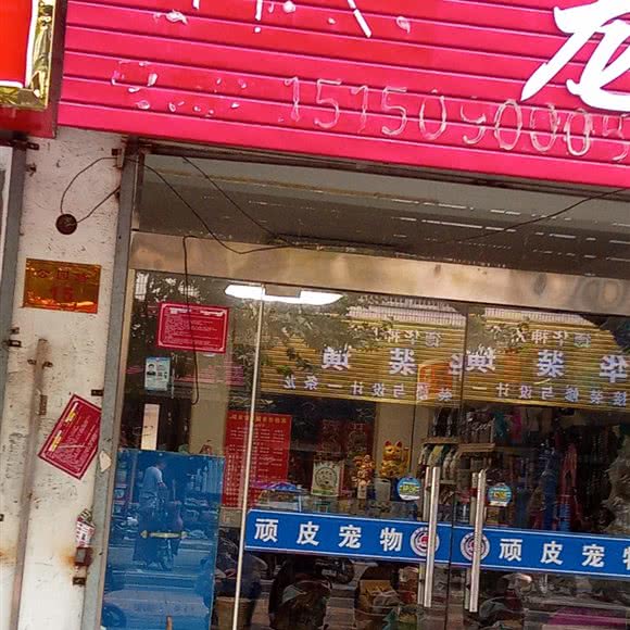 顽皮宠物狗:连云港市灌云县