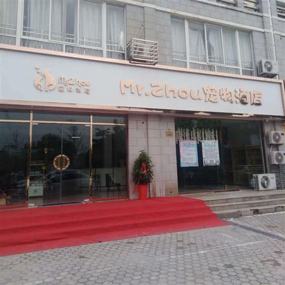 Mr.Zhou宠物酒店:连云港市灌云县