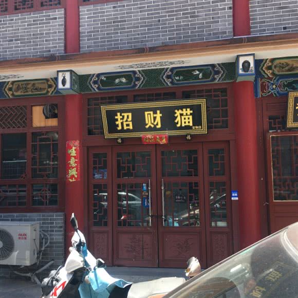 招财猫宠物店:阳泉市城区天桥商业区附近