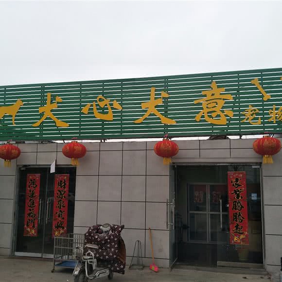 犬心犬意宠物馆:连云港市灌云县