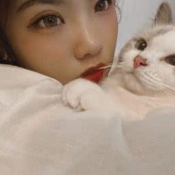 猫狗印记宠物店:连云港市灌南县