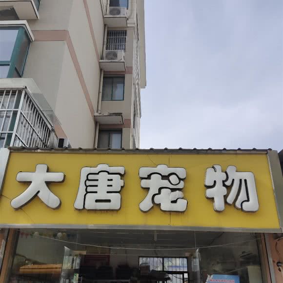 大唐宠物:连云港市灌南县
