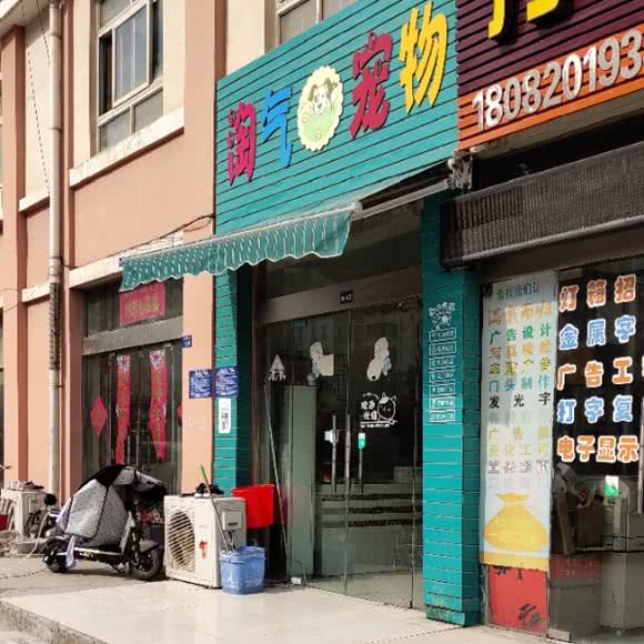 淘气宠物:淮安市淮安区