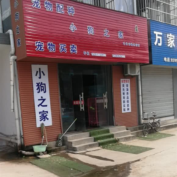 小狗之家:淮安市淮安区