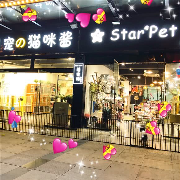星宠StarPet宠物馆:淮安市清江浦区
