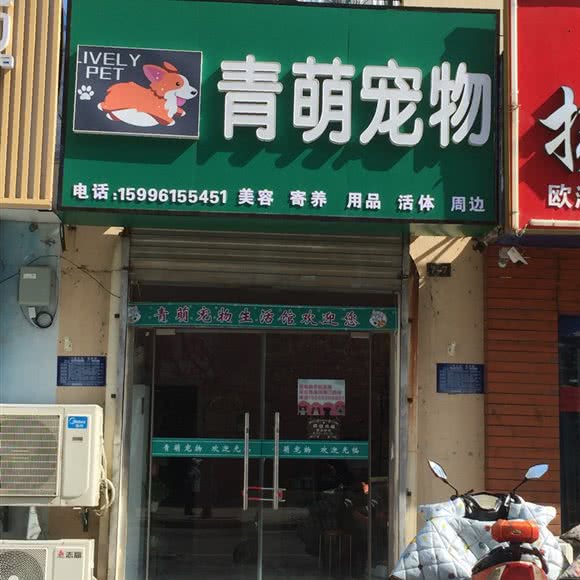 青萌宠物:淮安市清江浦区