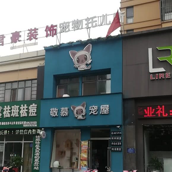 敬慕宠屋:淮安市清江浦区