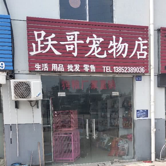 跃哥宠物店:淮安市清江浦区
