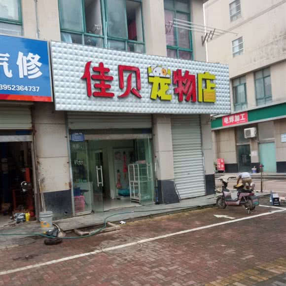 佳贝宠物店:淮安市清江浦区