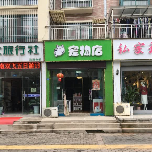 宠物店:淮安市洪泽区