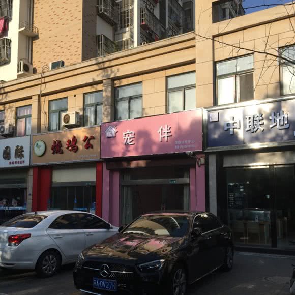 宠伴宠物诊疗中心:淮安市洪泽区