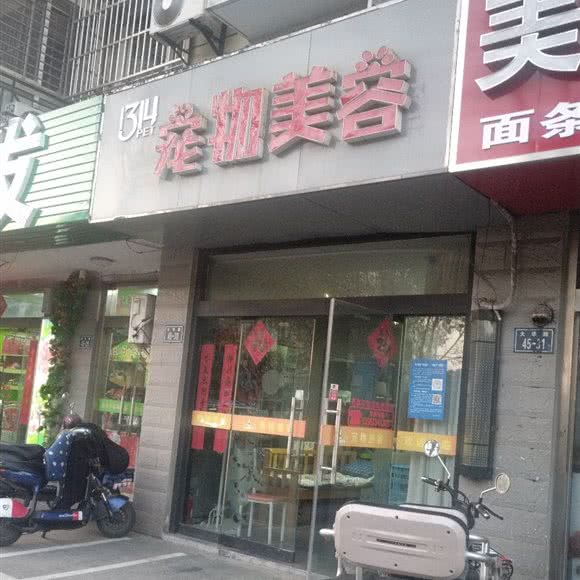 1314宠物美容:盐城市大丰区