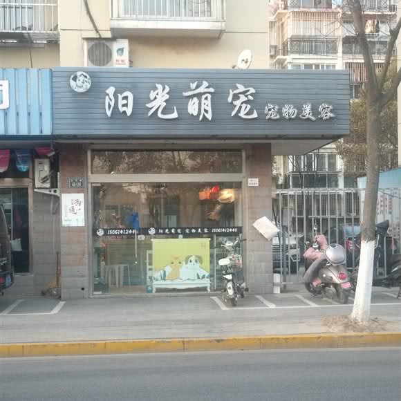 阳光萌宠宠物美容:盐城市大丰区