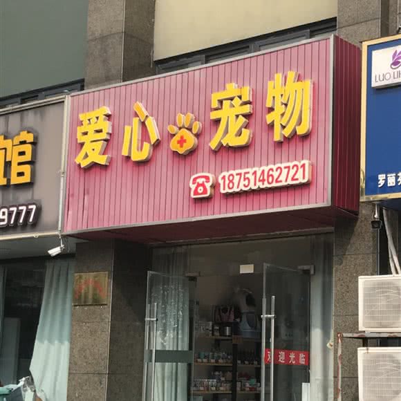 爱心宠物:盐城市大丰区