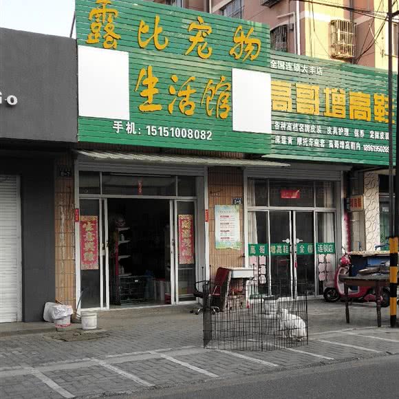 露比宠物生活馆:盐城市大丰区