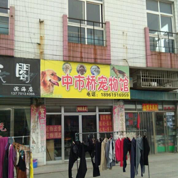 中市桥宠物园:盐城市滨海县