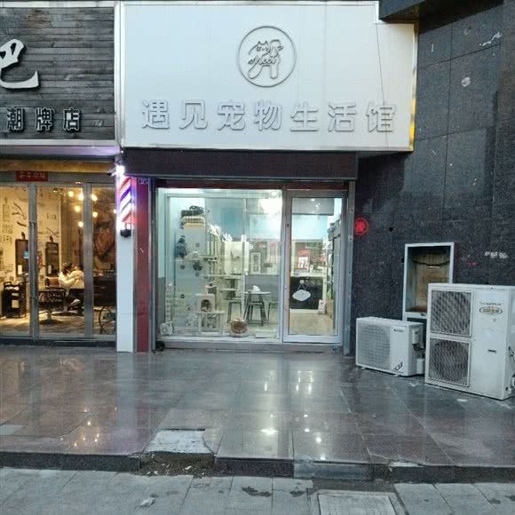 遇见宠物生活馆:盐城市阜宁县
