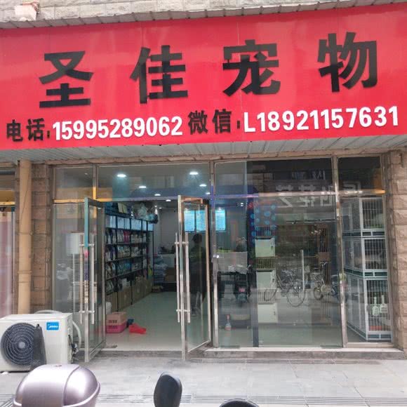 圣佳宠物:盐城市阜宁县