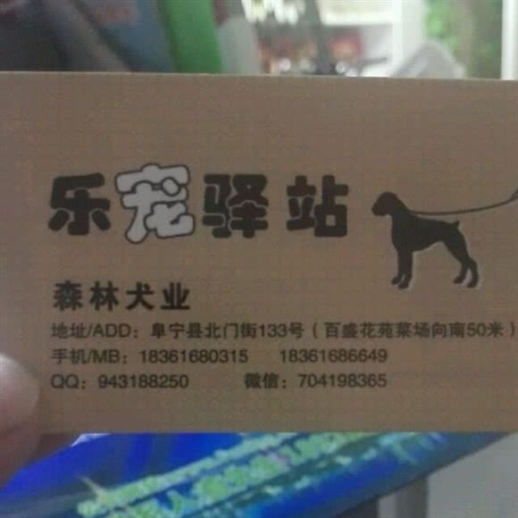 宠物生活馆:盐城市阜宁县