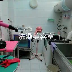 爱心宠物门诊:盐城市阜宁县