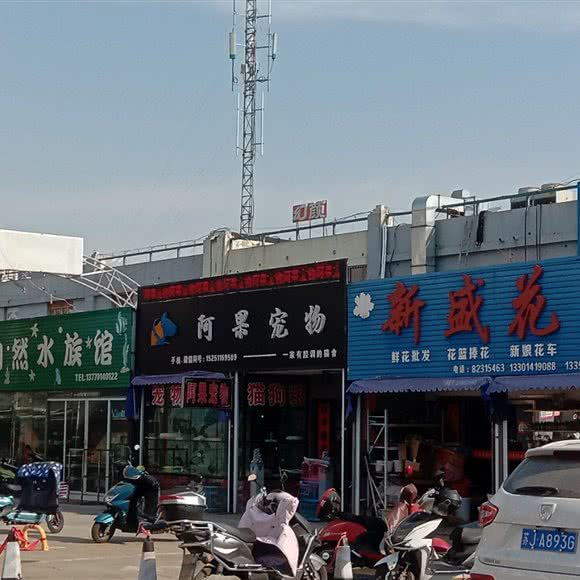 阿果宠物:盐城市射阳县