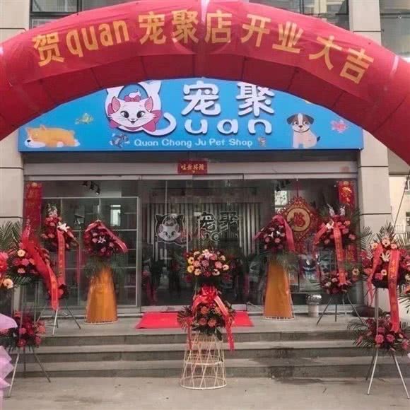宠聚:阳泉市郊区开发区附近