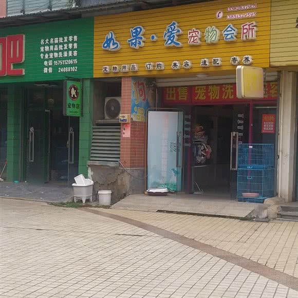 如果爱宠物会所:盐城市建湖县