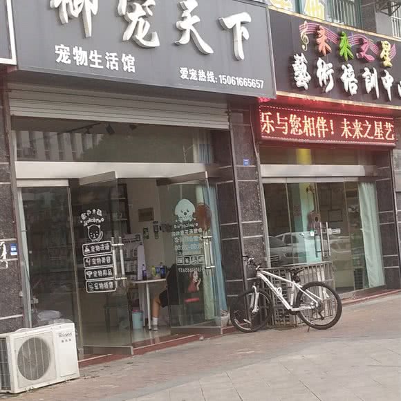 御宠天下:盐城市建湖县