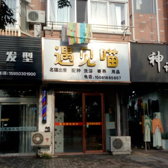 遇见喵:盐城市建湖县