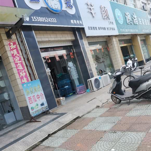 酷宠:盐城市东台市