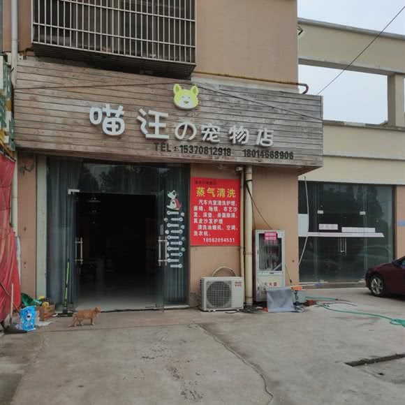 喵汪の宠物店:盐城市东台市