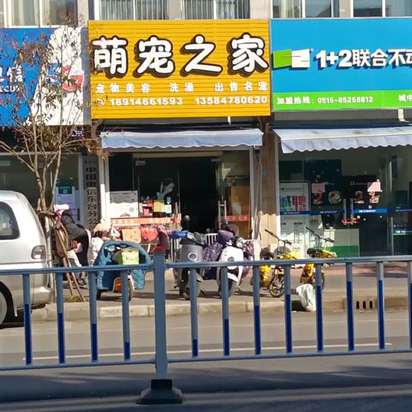 萌宠之家:盐城市东台市