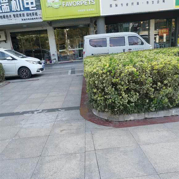 圣宠宠物(陆家滩店):盐城市东台市
