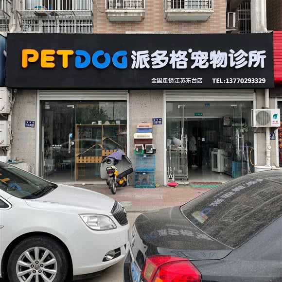 派多格宠物诊所(东台店):盐城市东台市
