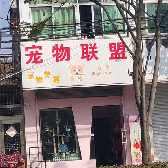 宠物联盟:扬州市广陵区