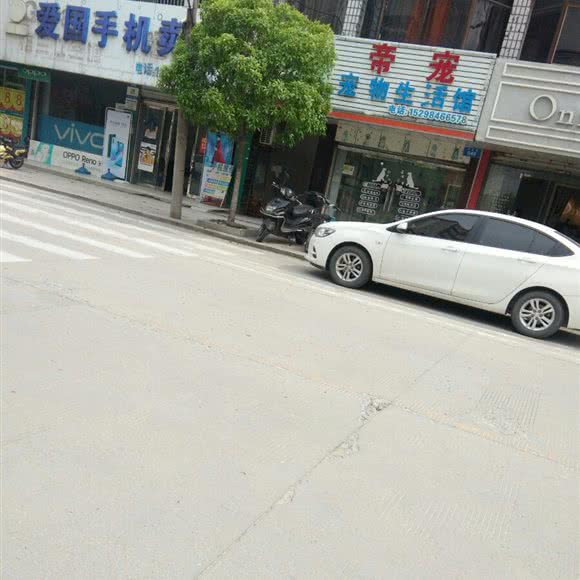 帝宠宠物生活馆:扬州市广陵区