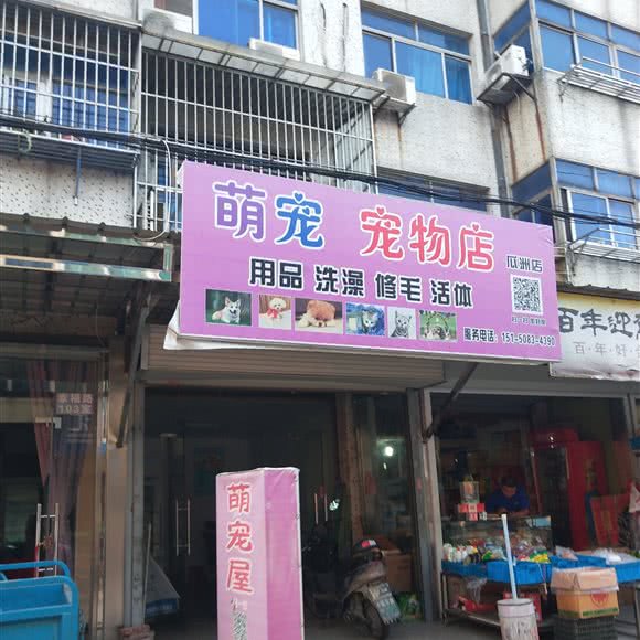 萌宠宠物店(瓜州店):扬州市邗江区