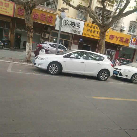 狗狗窝:扬州市江都区