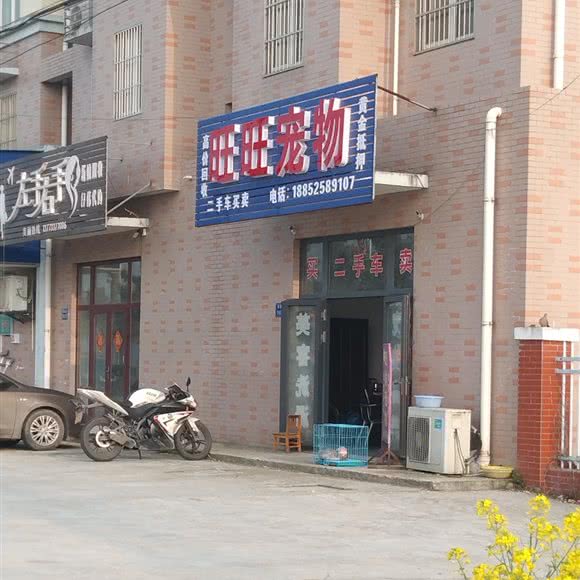 旺旺宠物狗:扬州市江都区
