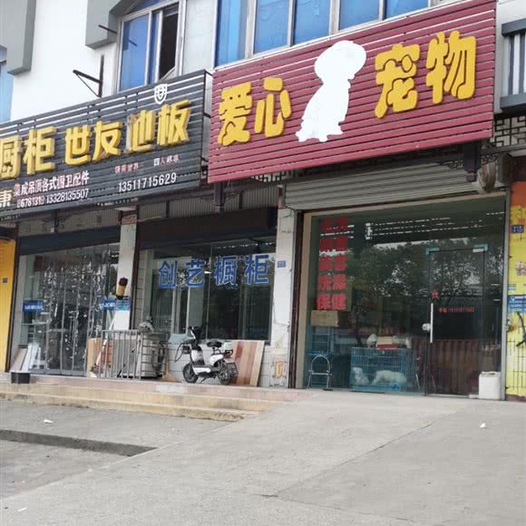 爱心宠物:扬州市江都区