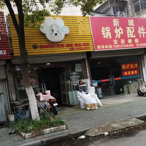 宠物美容洗澡婚配用品寄养:扬州市江都区
