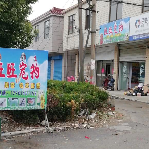 旺旺宠物(国泰路店):扬州市江都区