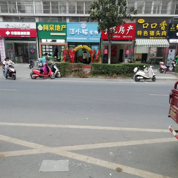 汪小喵宠物:扬州市江都区