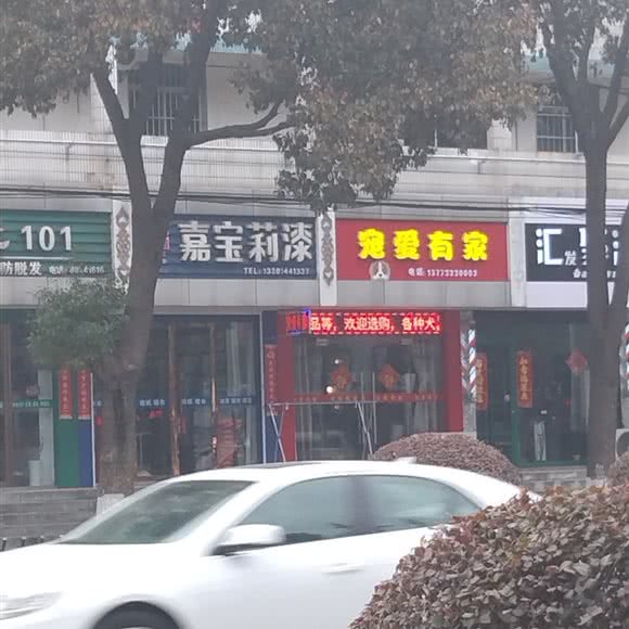 宠爱有家(安宜东路店):扬州市宝应县