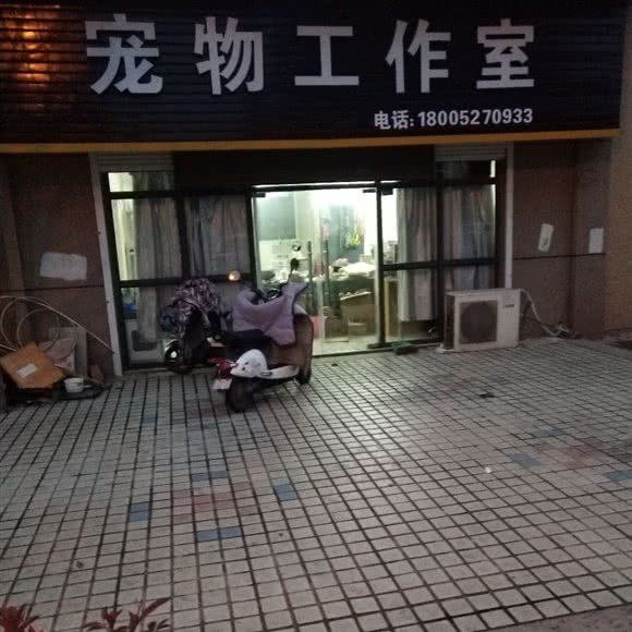 宠物工作室:扬州市宝应县